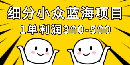 细分小众蓝海项目，一单利润3张，每月收入稳定过1w+-墨尘项目社
