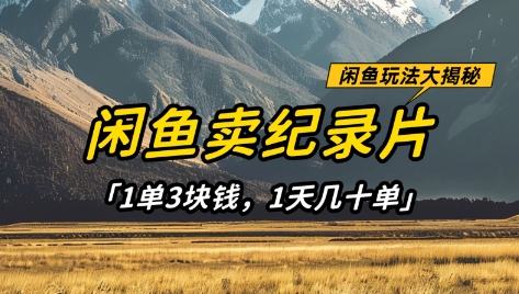 闲鱼卖纪录片1单3块钱，1天几十单，项目稳定有潜力-墨尘项目社